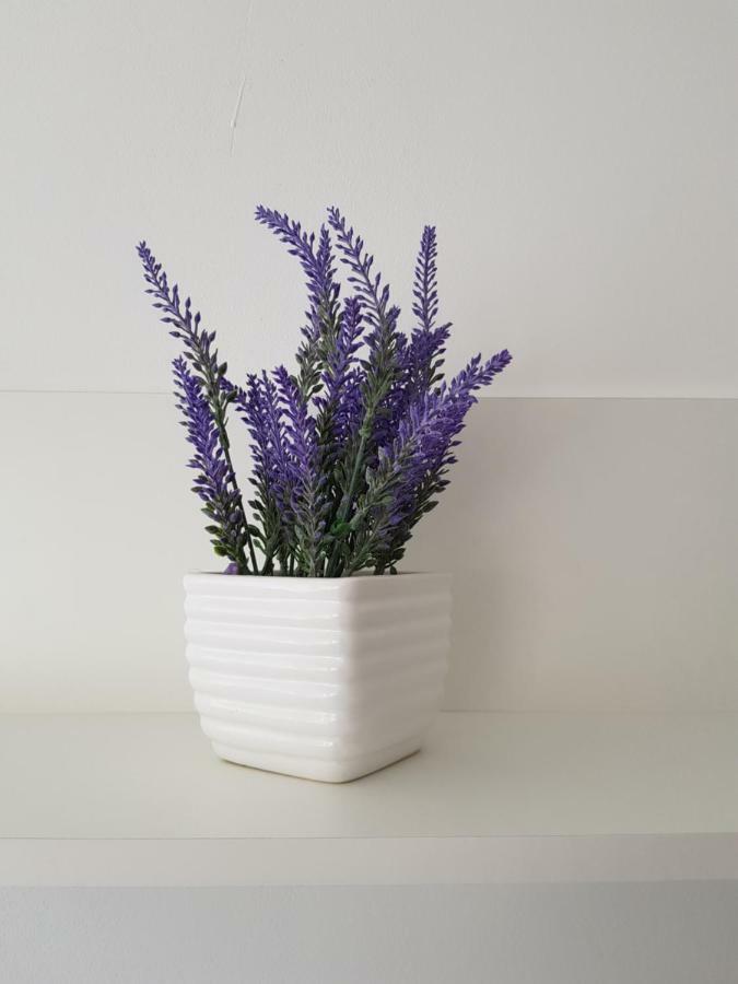 Apartman Tasa 바냐루카 외부 사진